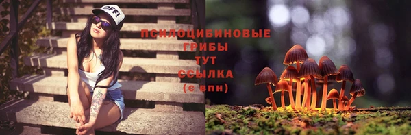 СК Аркадак