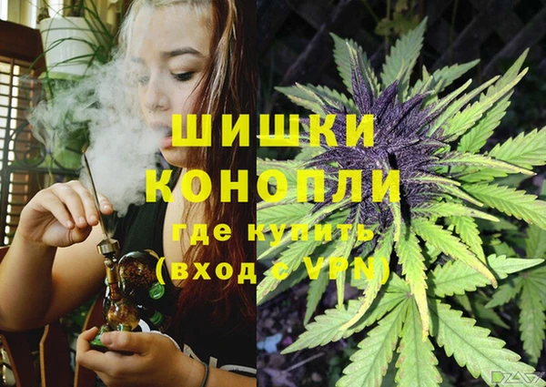 СК Аркадак