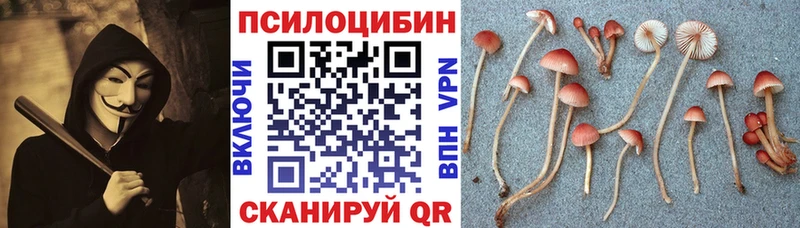 Галлюциногенные грибы ЛСД  blacksprut вход  Нижнеудинск 